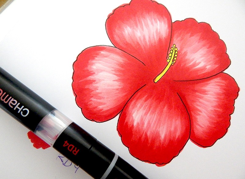 Chameleon Marker: Wissenswertes